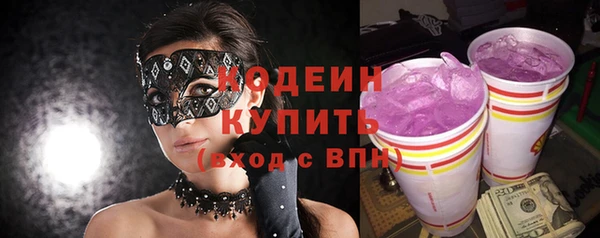 индика Абинск
