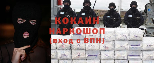 индика Абинск
