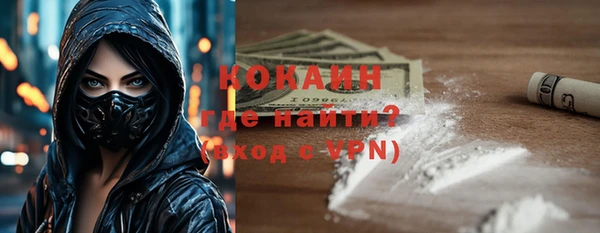 индика Абинск