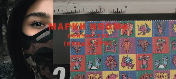 индика Абинск
