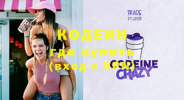 индика Абинск