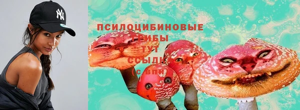 индика Абинск