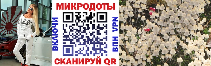 Галлюциногенные грибы прущие грибы Богородицк